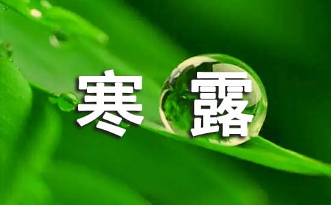 關(guān)于寒露古詩(shī)
