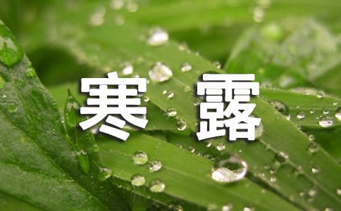 寒露節(jié)氣句子