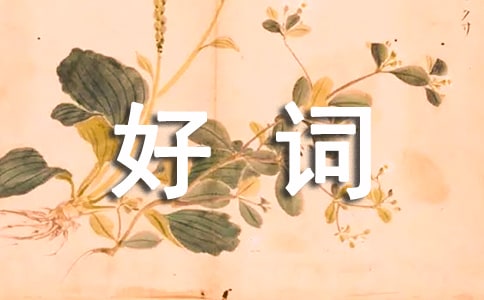 摘抄好詞好句15篇