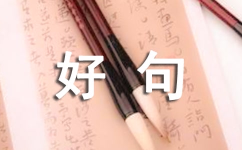 �þ�ժ�������x685�䣩