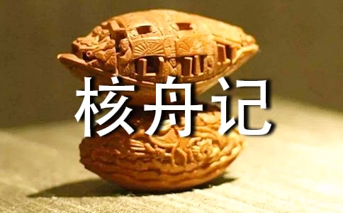 【經(jīng)典】核舟記的反思