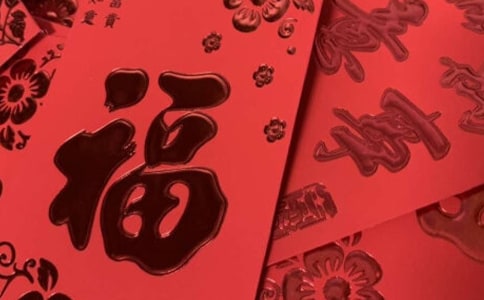 �t��������[����15ƪ]