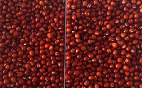 種一顆紅豆在心上經(jīng)典散文