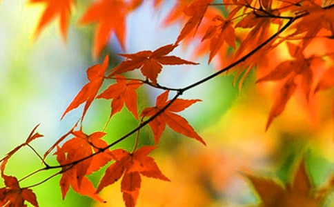 �t�~������