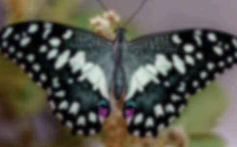 ���w�������۷��D��
