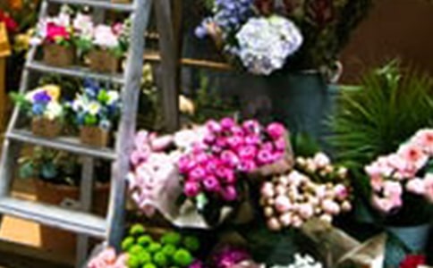 逛花店作文