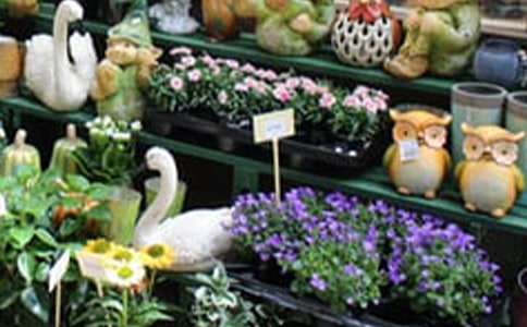 ��������Ȧ�İ������x100�䣩