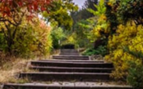巨人的花園作文15篇【實用】