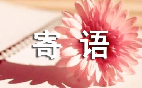 520寄語簡短(精選300句)