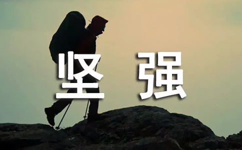 雪豹堅(jiān)強(qiáng)歲月臺(tái)詞130句