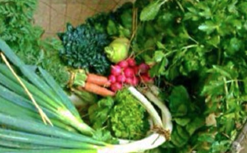 ����˯�����}�����̰�