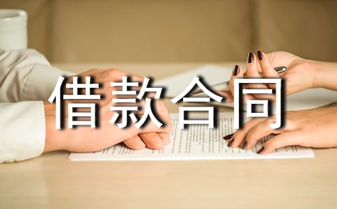 網(wǎng)簽版保證借款合同