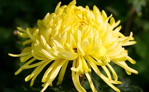 �S���}�ջ�ȫ����ע������g���p��