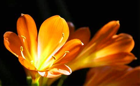 �����m����15ƪ�����ã�