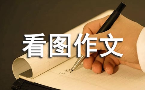 小學看圖作文【精選15篇】