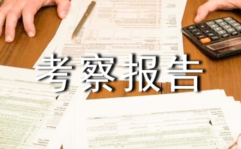 關于無錫泰陽木業的考察報告范文