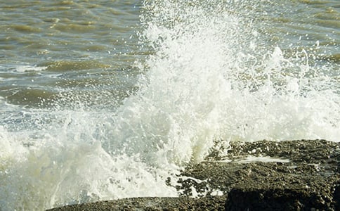 《浪花》教案