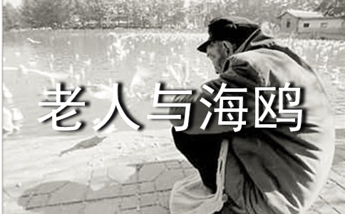 《老人與海鷗》讀后感