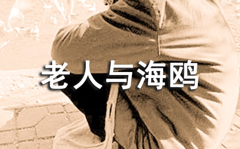 老人與海鷗讀后感