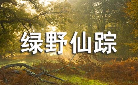 《綠野仙蹤》讀后感(集合15篇)