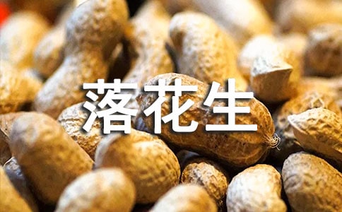 �仨������ӛ���Č���[2ƪ]
