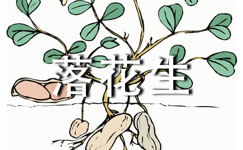 《落花生》課堂達(dá)標(biāo)精選試題A卷