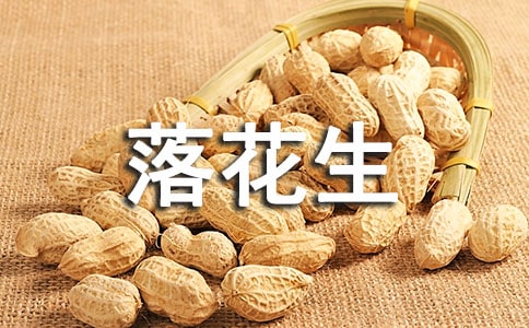 ���꼉(j��)�σ�(c��)�Z(y��)�ġ��仨�����̰�