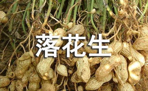 �仨������