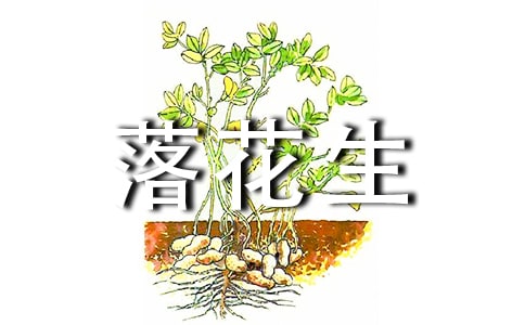 落花生小學(xué)語文課件設(shè)計(通用11篇)