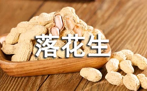 《落花生》讀后感