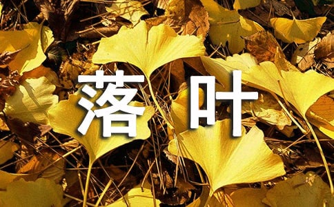 《落葉》閱讀理解附答案