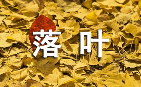 落葉的輪回隨筆