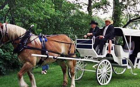 �ҵČ��R܇����