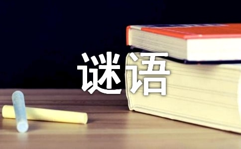 謎底是小雞的謎語