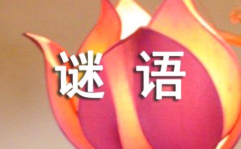 �³��Z(y��)�i�Z(y��)����