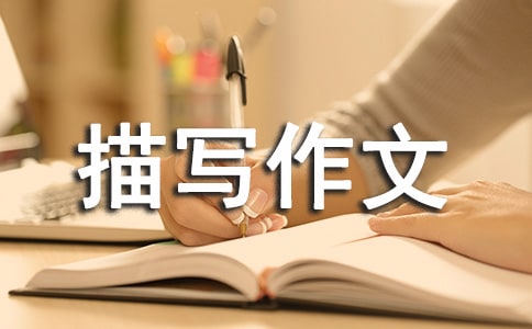 人物片段描寫作文匯總五篇