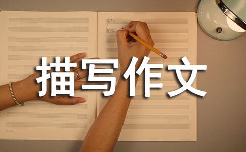 �����茑����500��