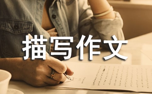 ���Ĳɵ������茑����