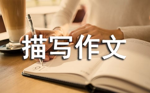 心理描寫作文3篇
