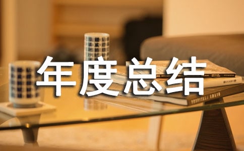 年度總結報告