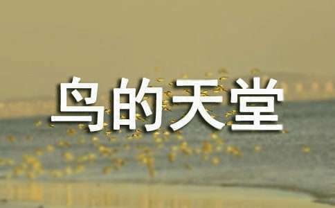 《鳥(niǎo)的天堂》教學(xué)設(shè)計(jì)(共15篇)