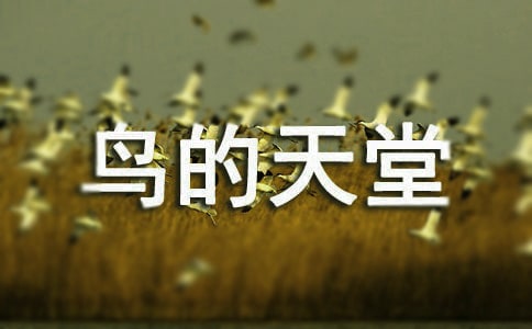 (薦)鳥的天堂課后反思5篇