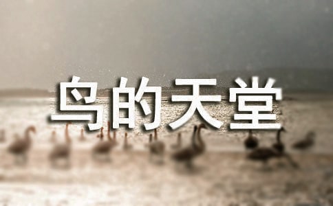 �B�������n��˼����(sh��)��5ƪ��