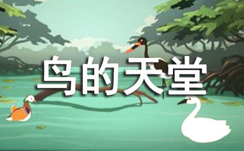(精選)鳥的天堂導(dǎo)游詞