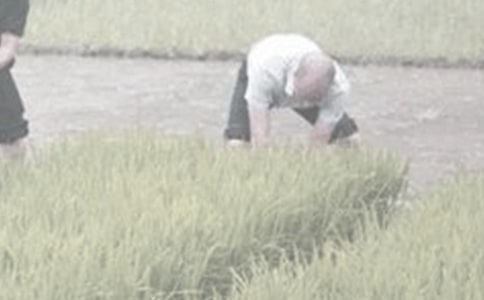 �W�r������ģ�ͨ��30ƪ��