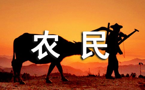 體會農(nóng)民辛苦的感悟,體會農(nóng)民辛苦的感悟短句