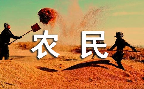 農(nóng)民工工資管理制度4篇