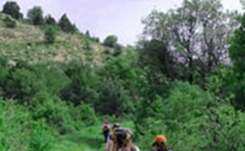 ���x��ɽ����3ƪ
