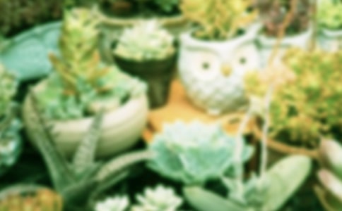 ���Ի��ܰ������g������