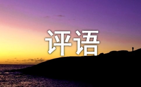 點評文章的評語